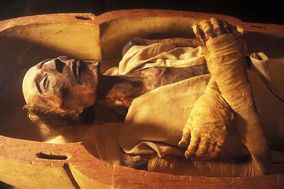  The mummy of Ramses II