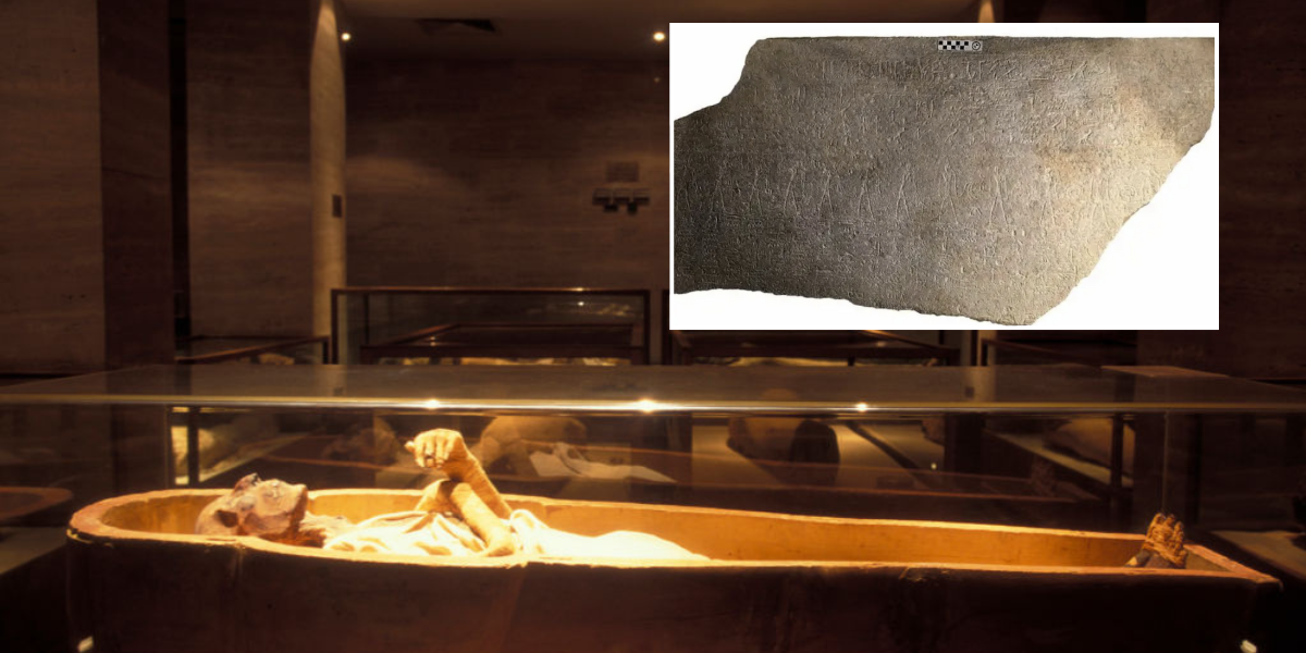 NextImg:Archaeology breakthrough as sarcophagus of Egypt's greatest pharaoh finally discovered