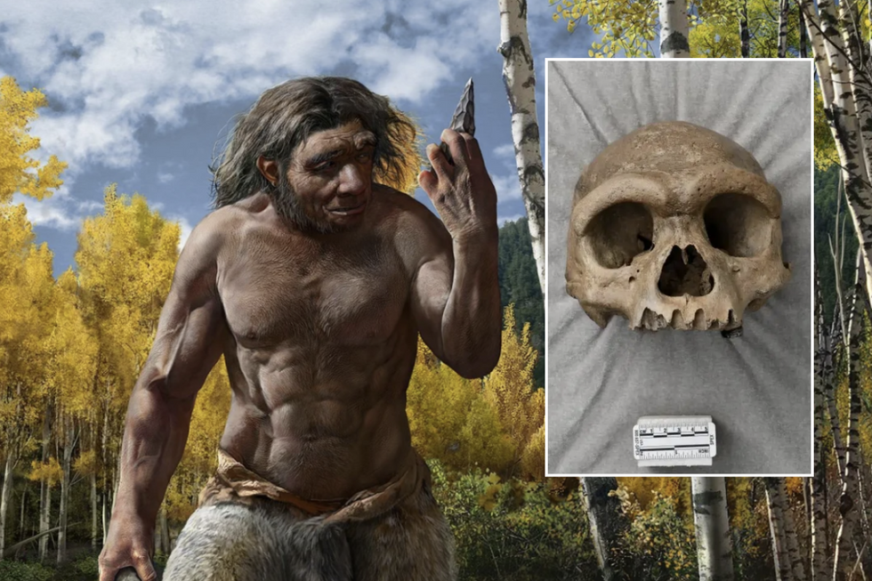 The mystery of the Denisovan skull has been solved\u200b