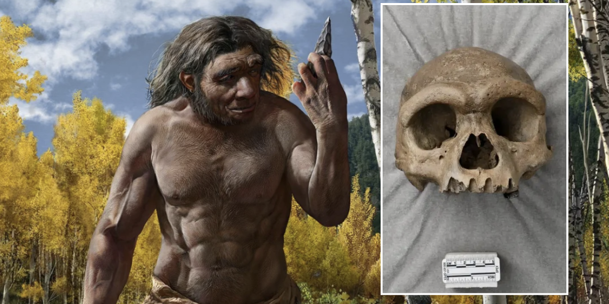 NextImg:Archaeology breakthrough as 146,000-year-old skull of lost human species discovered in China