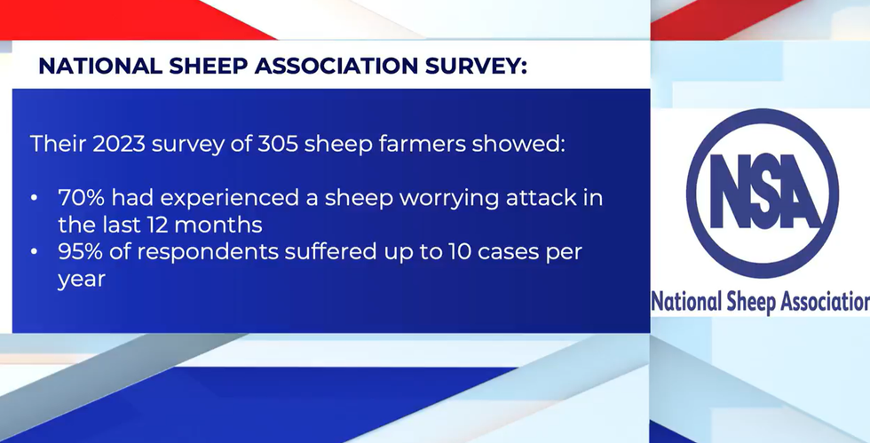 The National Sheep Association released data about the situation