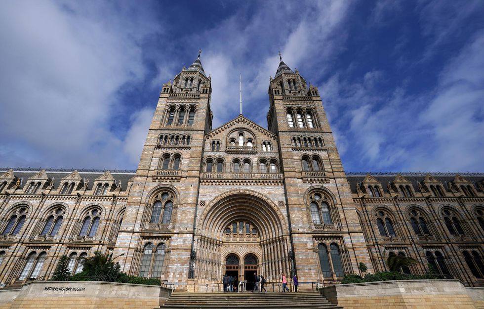 The Natural History Museum in South Kensington, London, which has been forced to close its doors from Tuesday due to "front-of-house shortages" impacted by Covid-19. The Museum will remain closed for one week in the hope that "staffing levels will have recovered".
