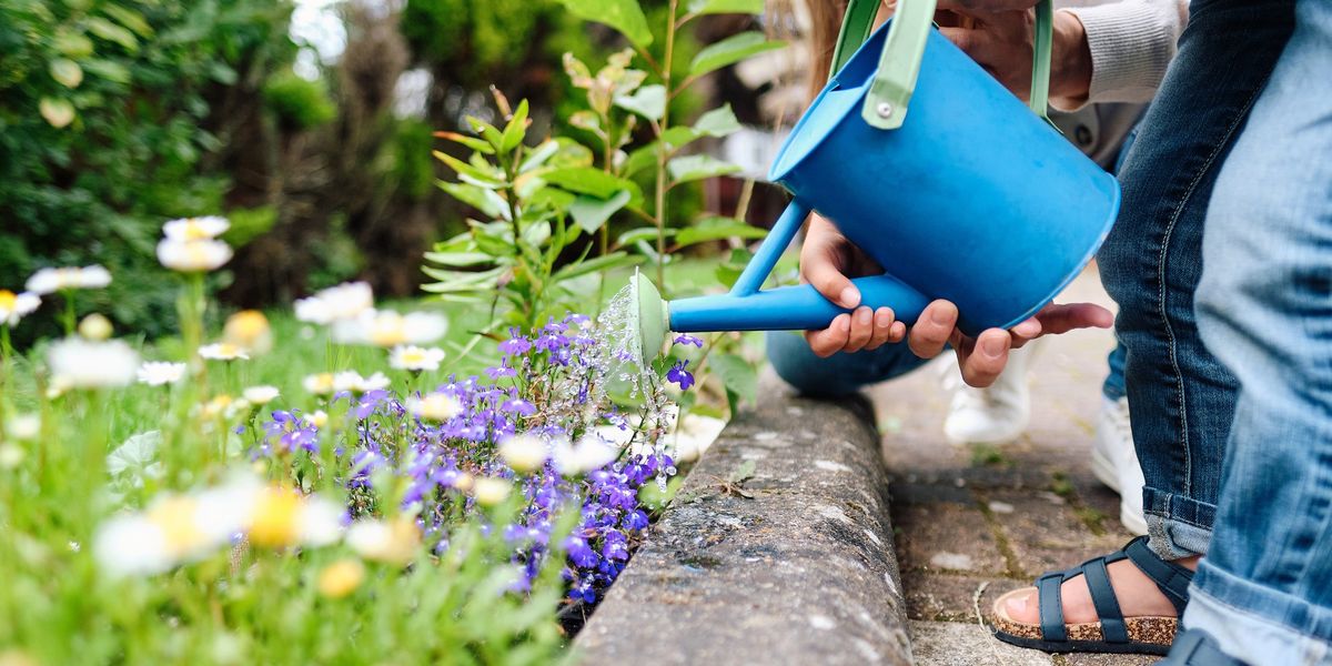 NextImg:Neighbour row erupts as homeowner fumes at woman over 'rude demand' in escalating 'gardening war'