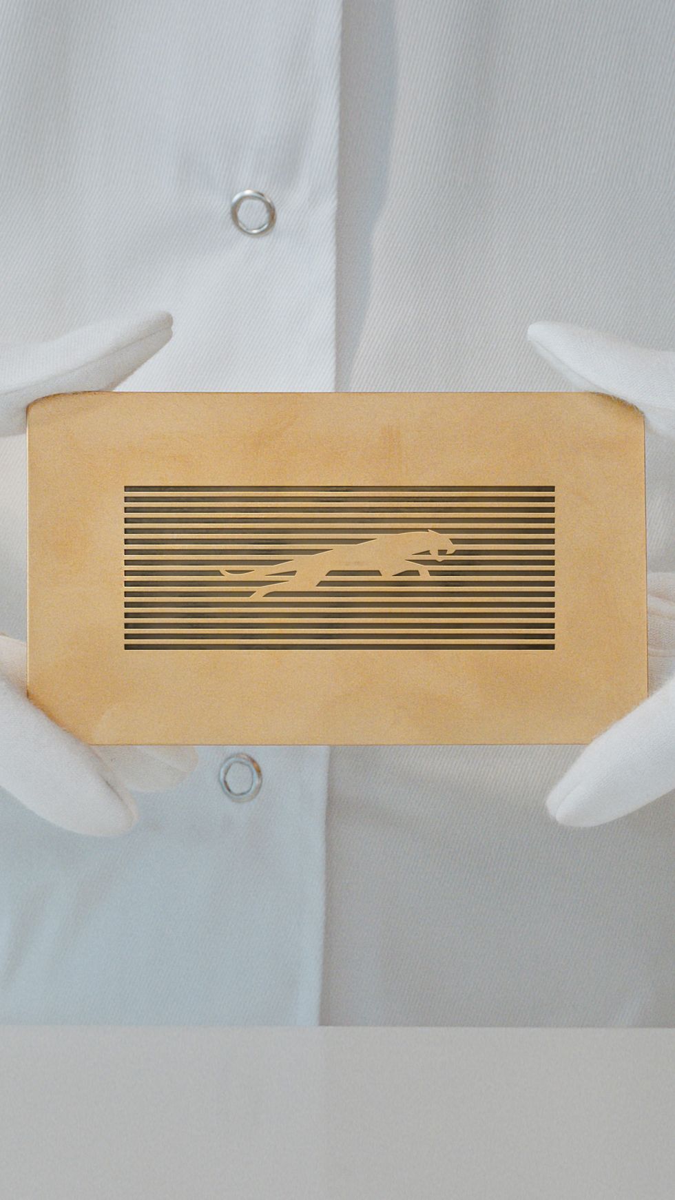 The new Jaguar logo