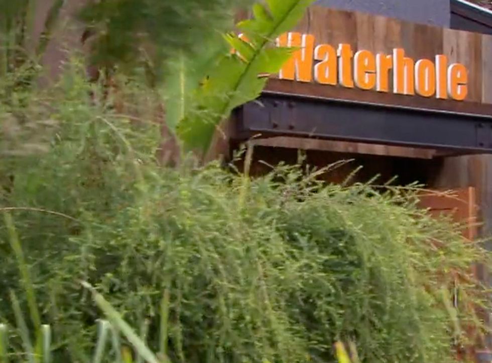 The news comes after the finale episode of the Australian soap aired in July