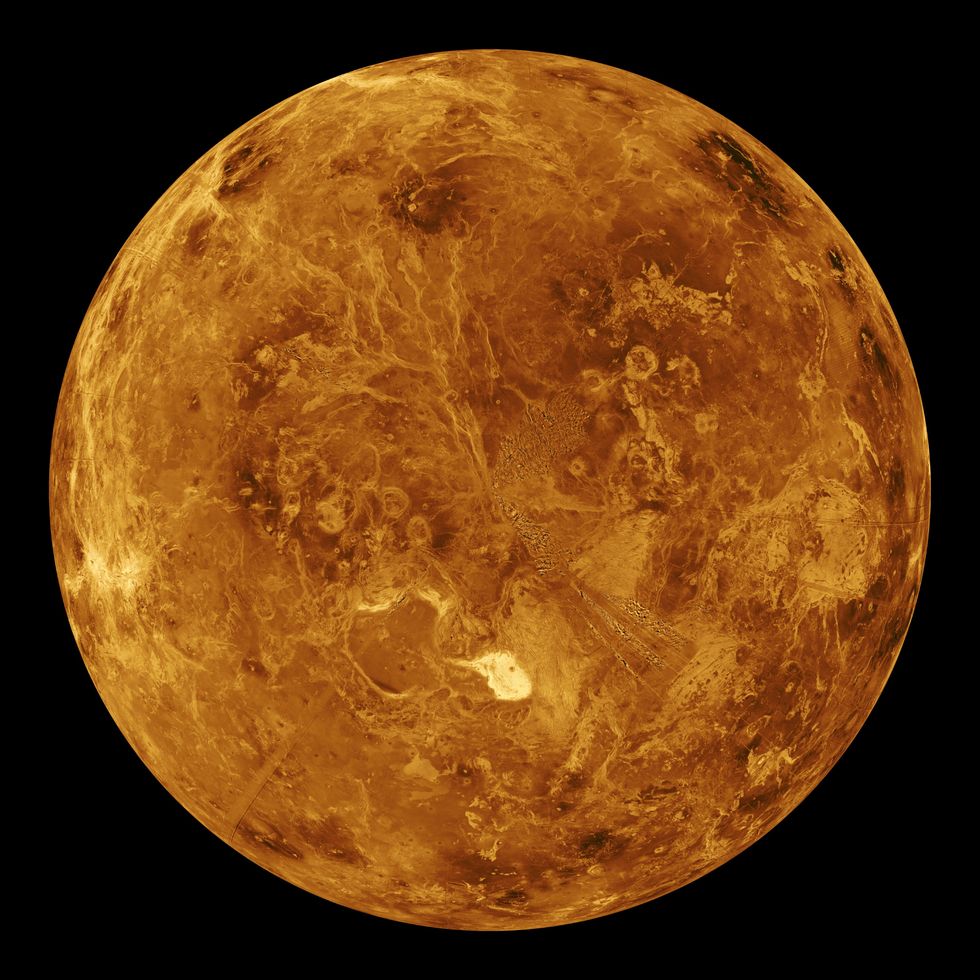 The northern hemisphere is displayed in this global view of the surface of Venus. The north pole is at the center of the image. Magellan.