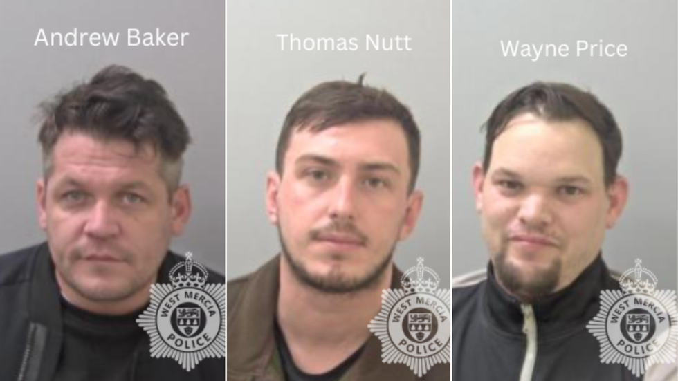 The organised crime gang