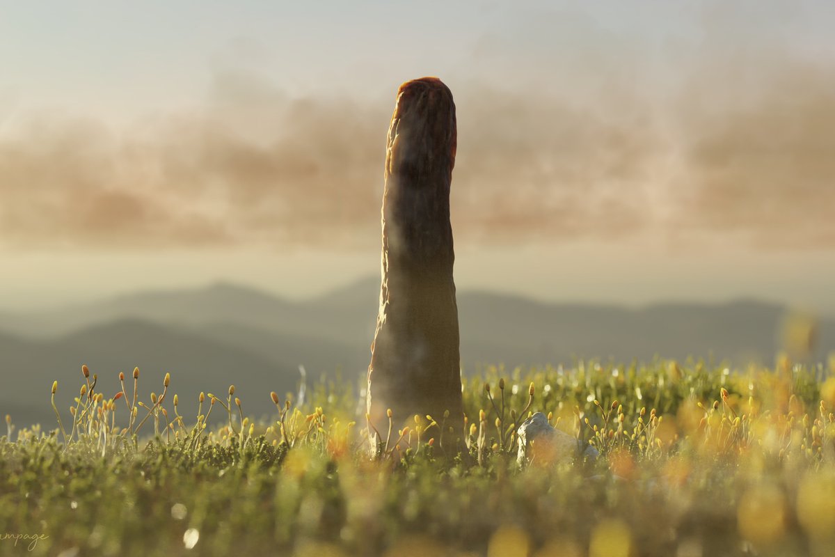 Scientists discover new form of life an hour's drive from Aberdeen