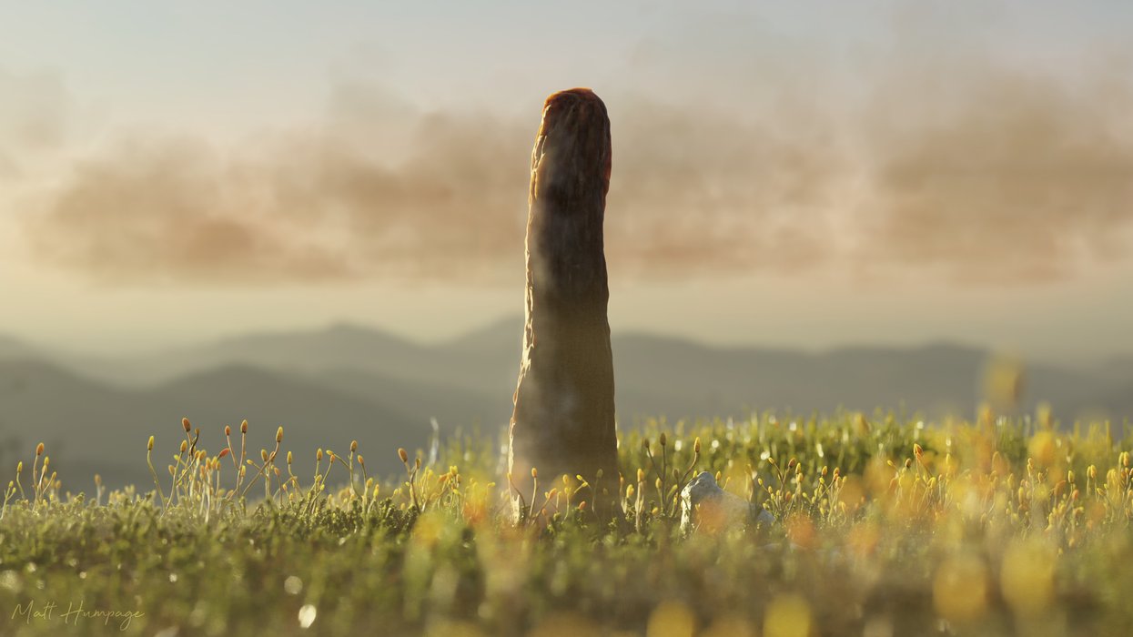 Scientists discover new form of life an hour's drive from Aberdeen