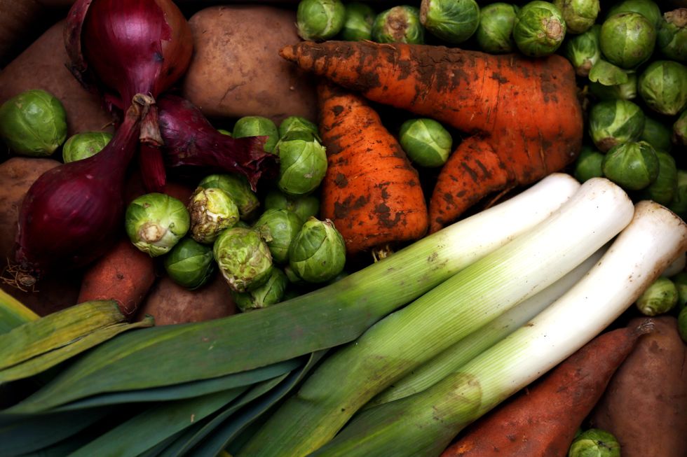 The participants were given diets consisting of either beans, peas, and meat or fish - or white potatoes with meat or fish.