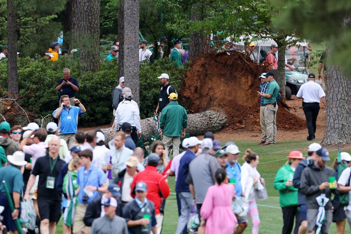 The pine tree that fell during play at The Masters.