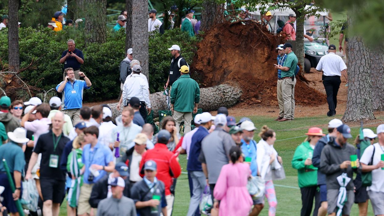 The pine tree that fell during play at The Masters.