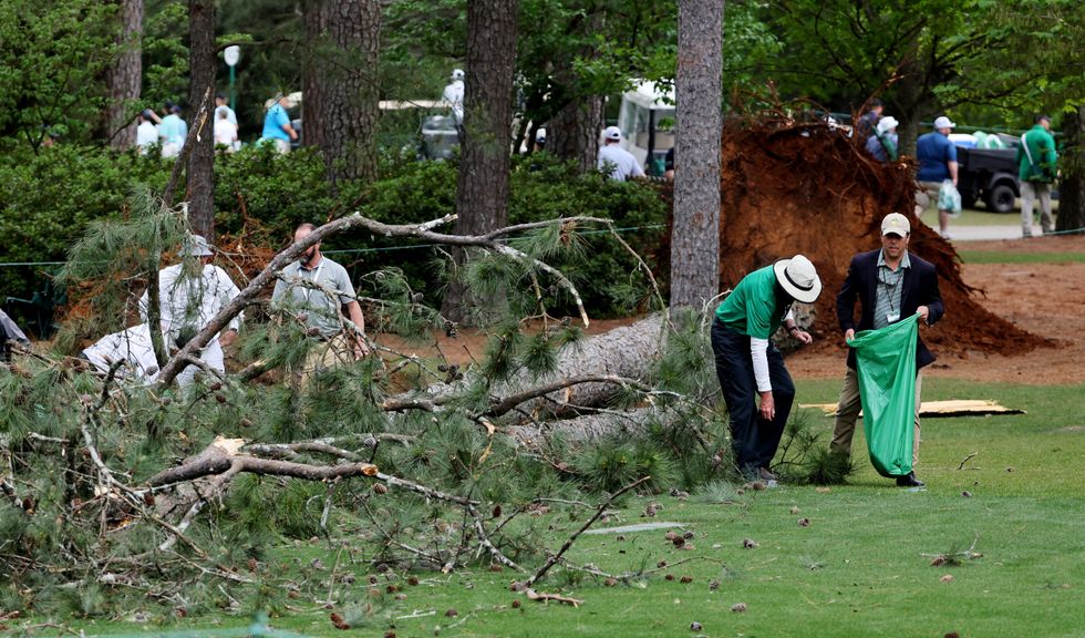 The pine tree that fell during play at The Masters.