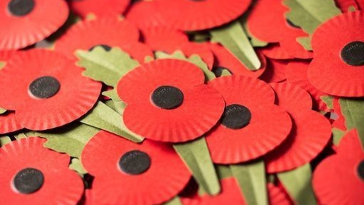 ‘I see your suffering and I’m thinking of you’: Veterans share why Poppy Appeal matters
