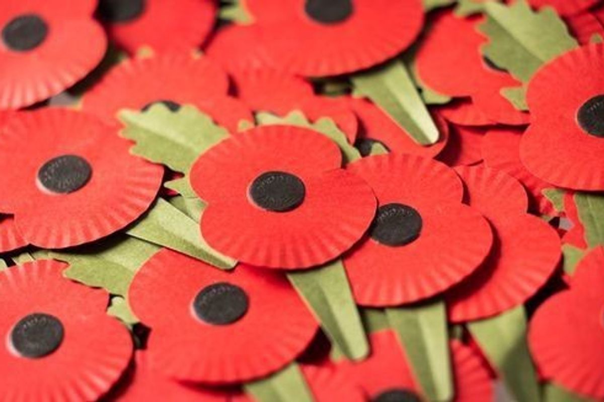 Veterans day soccer tournament Veterans day soccer tournament