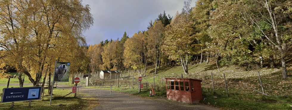 The primate escaped from its enclosure at Highland Wildlife Park near Kingussie on Sunday