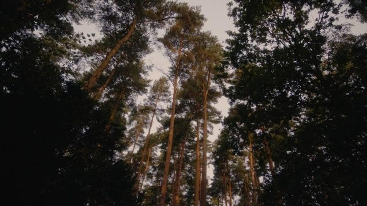 Kate shares special tribute to her parents Carole and Michael Middleton after 'incredibly tough time'