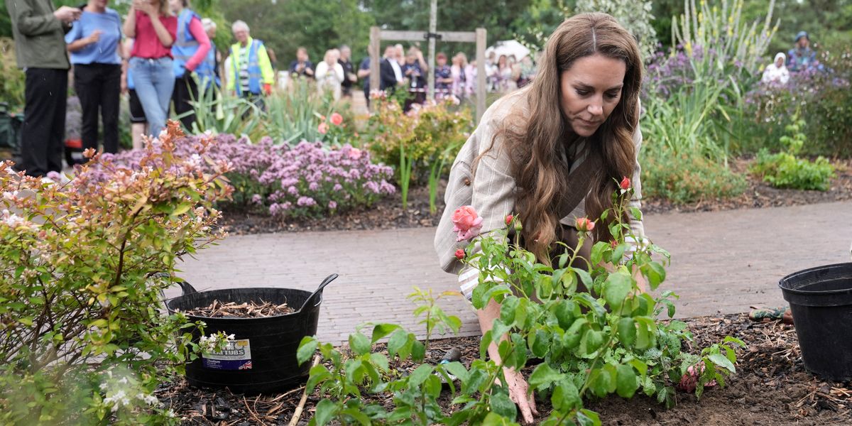 Catherine gives heartwarming tribute to nature in memory of special day Catherine gives heartwarming tribute to nature in memory of special day