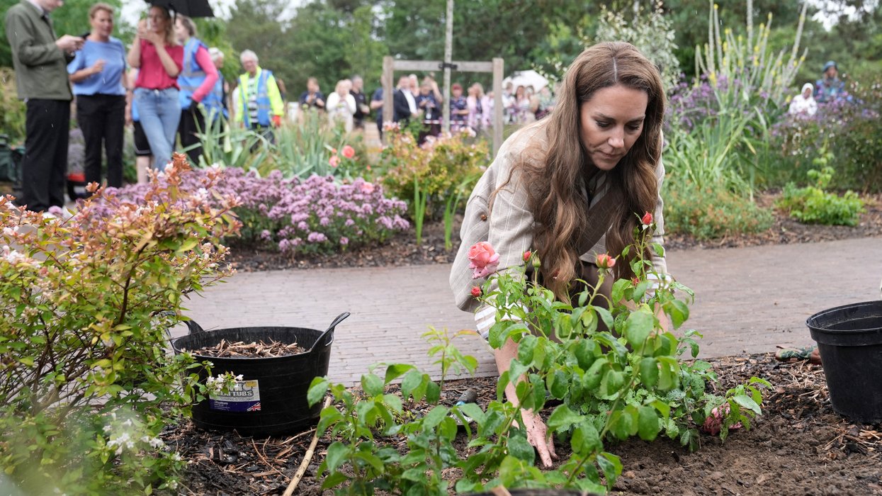 The Princess of Wales