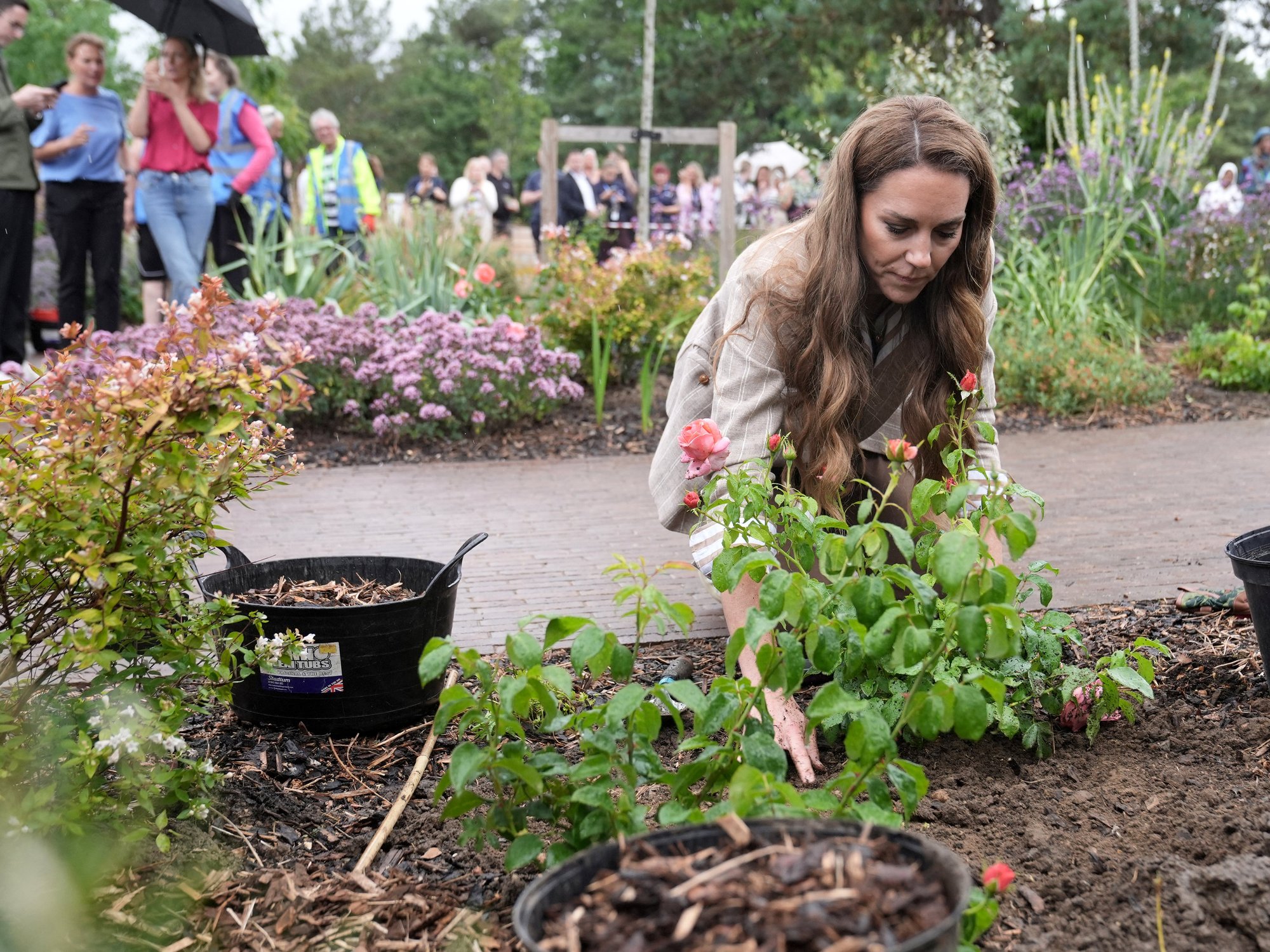 The Princess of Wales