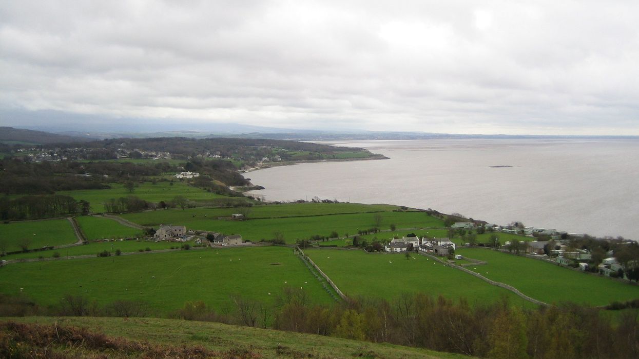 The quake struck the area around the bay