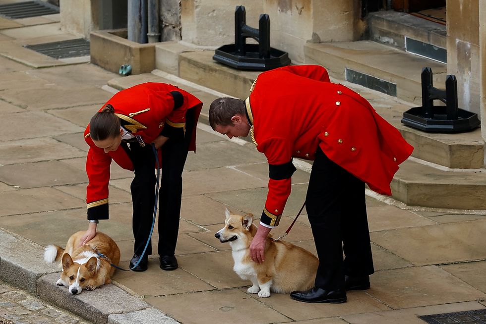 The Queen's two corgis, Muick and Sandy, are seen during the Ceremonial Procession