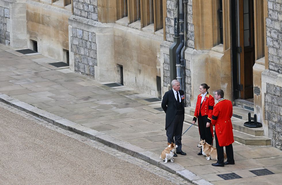 The Queen's two corgis, Muick and Sandy, are seen with the Duke of Yok during the Ceremonial Procession through Windsor Castle to a Committal Service at St George's Chapel. Picture date: Monday September 19, 2022.
