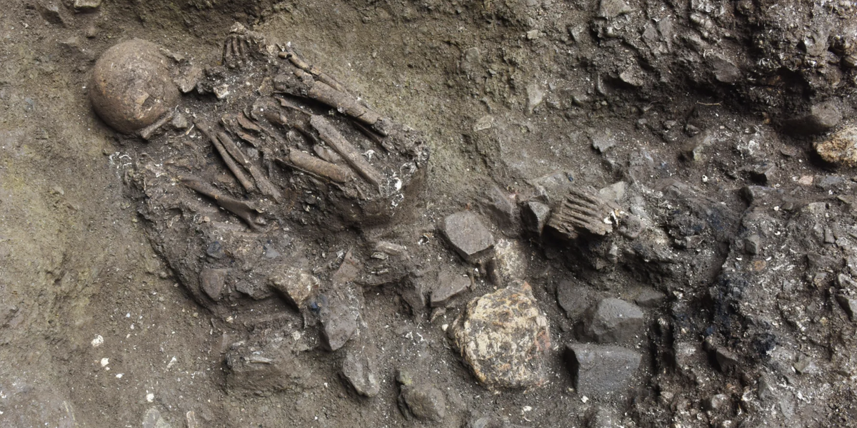 NextImg:Scientists discover mysterious 'ghost lineage' after unearthing 7,100-year-old skeleton in China