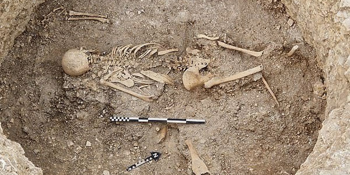 Archaeologists stunned by evidence of ‘theatrical’ human sacrifice unearthed in Dorset Archaeologists stunned by evidence of ‘theatrical’ human sacrifice unearthed in Dorset