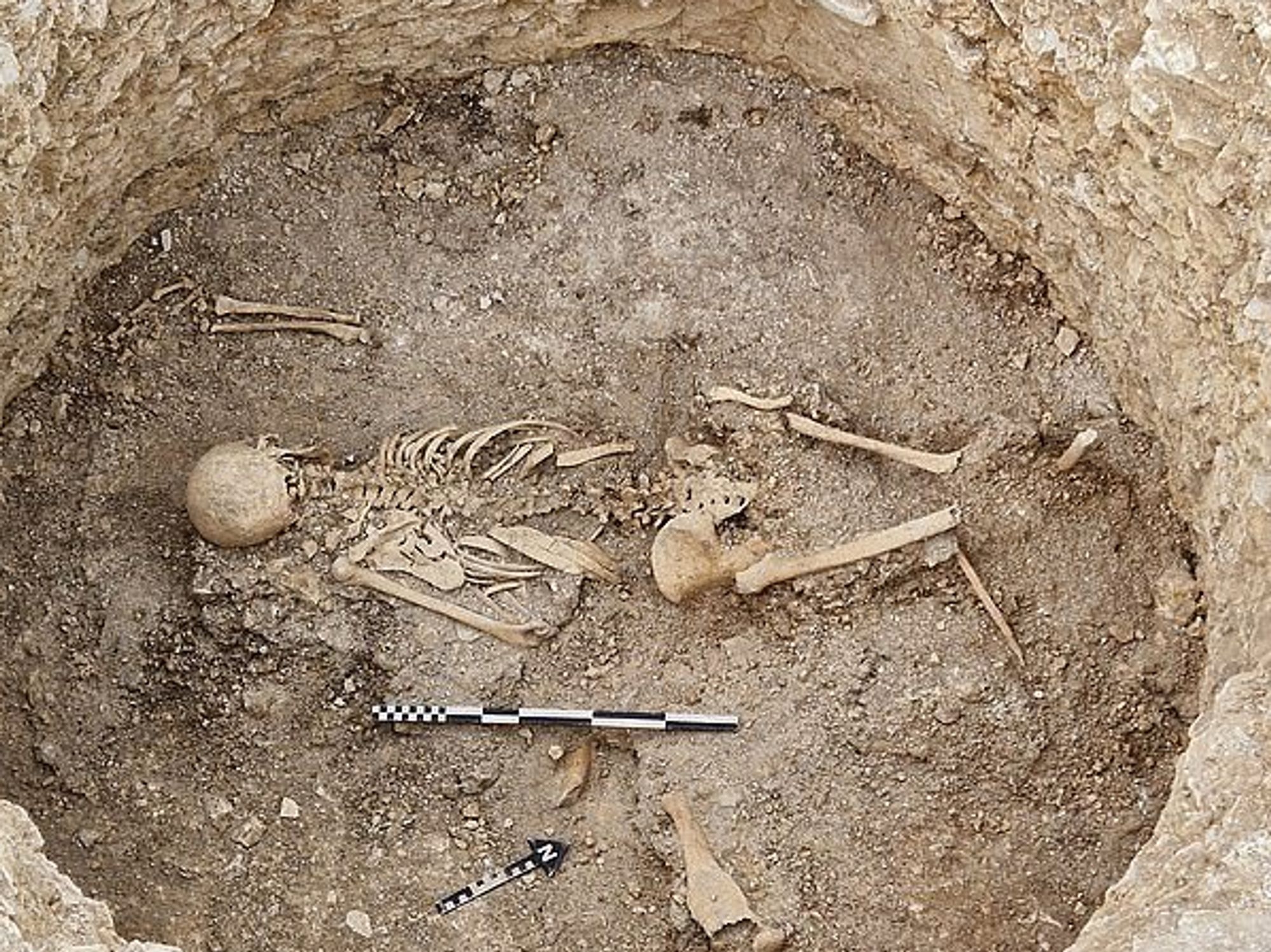 The remains which were found