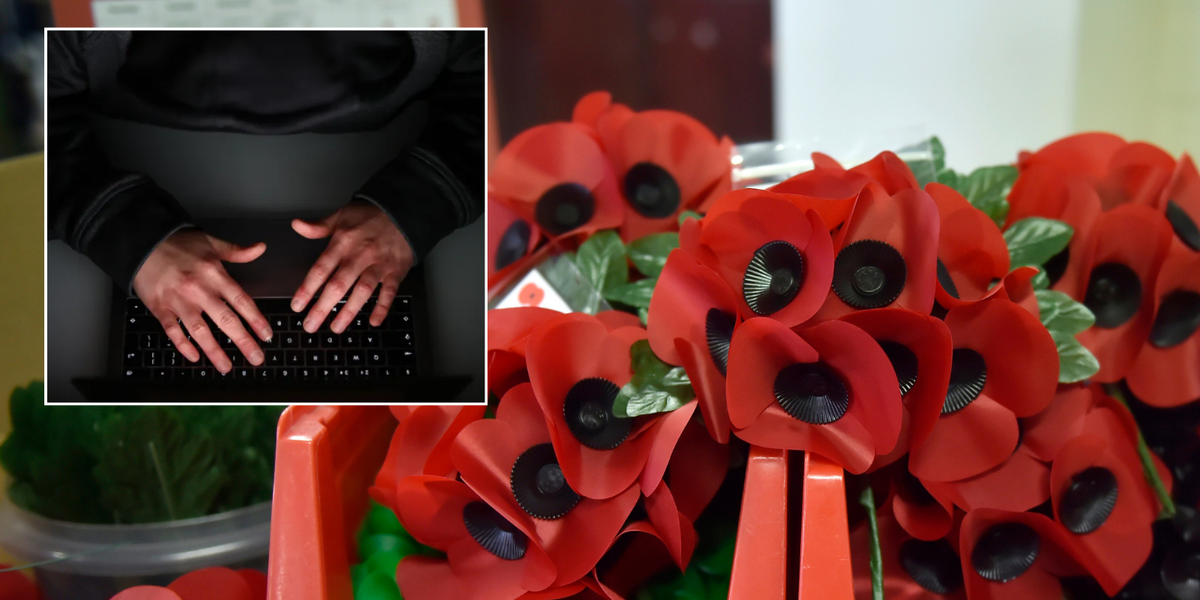 NextImg:'Disgusting' scammers spark fury as they flog Remembrance Day poppies and leave nothing for Army heroes