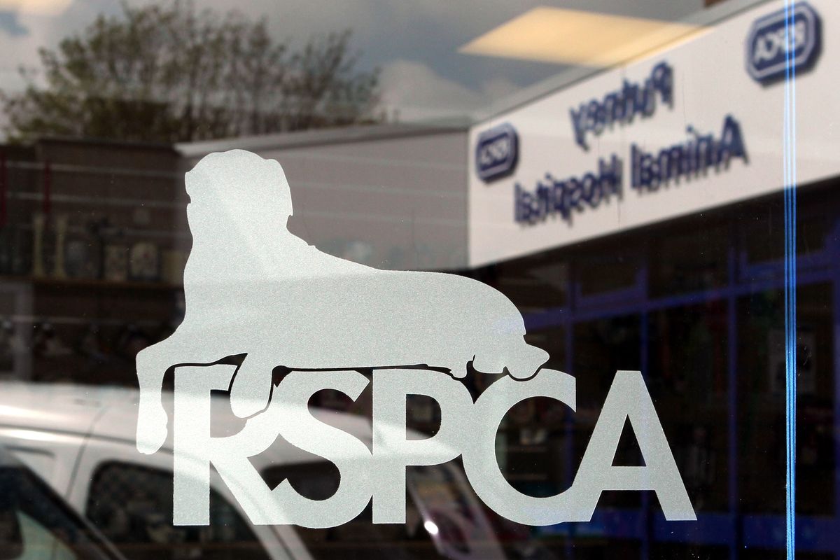 The RSPCA logo at the RSPCA Animal Hospital in Putney