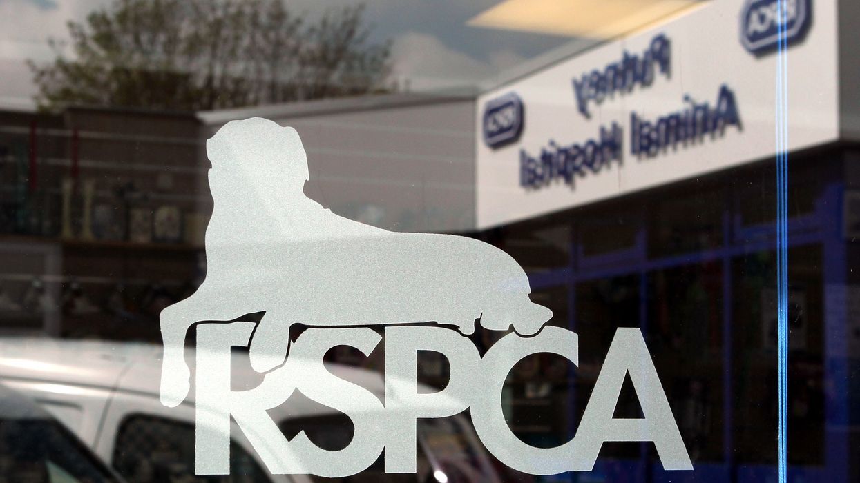 The RSPCA logo at the RSPCA Animal Hospital in Putney