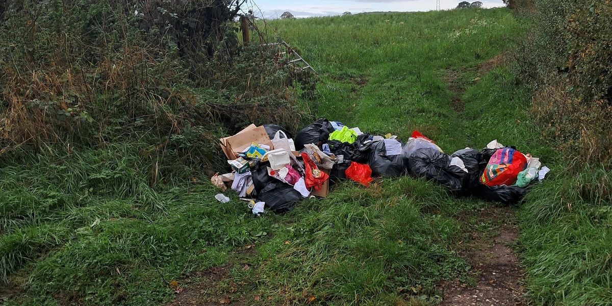 Woman receives £600 fine after paying ‘white van man’ £60 to clear fly-tipping rubbish Woman receives £600 fine after paying ‘white van man’ £60 to clear fly-tipping rubbish