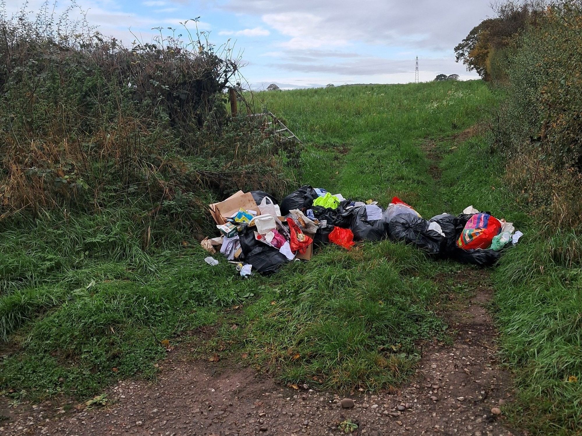 The rubbish was dumped in Cotwalton