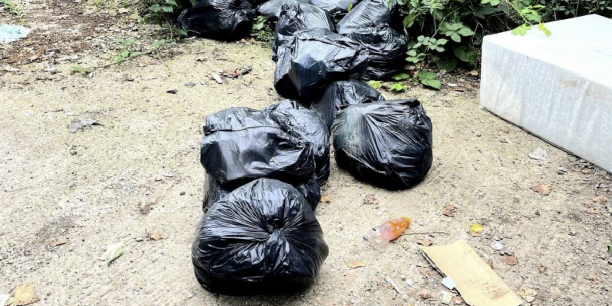 NextImg:Man fined £1,000 for dumping 5 bin bags on country lane...and his excuse is laughable
