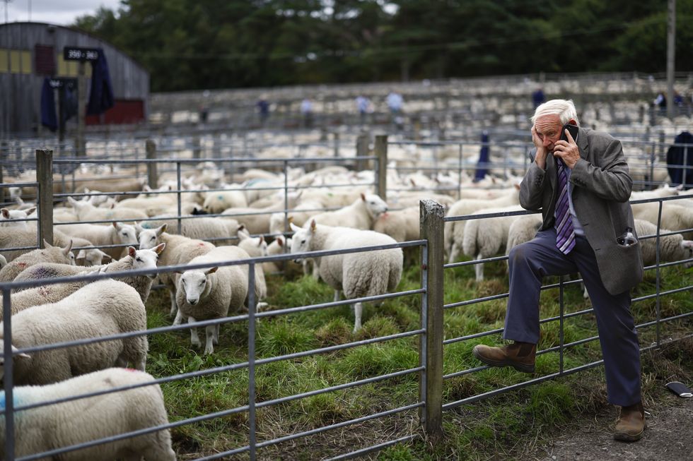 The Scottish farming sector was furious about the situation concerning the allocation