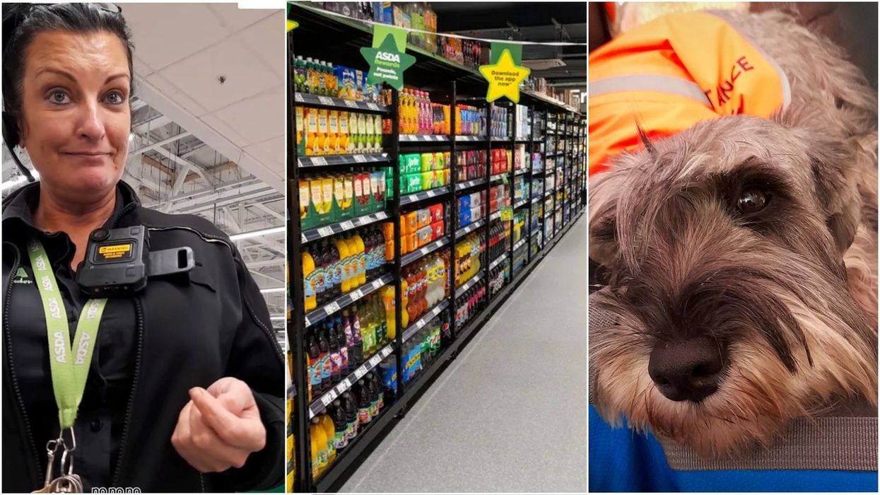 The Security guard, an ASDA aisle and Maxey's dog Genie's Dream