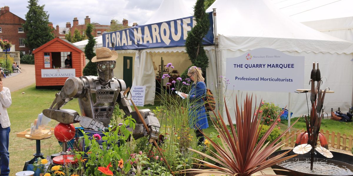 NextImg:Locals left 'shocked' after being forced to CANCEL 150-year-old event as council blames new law