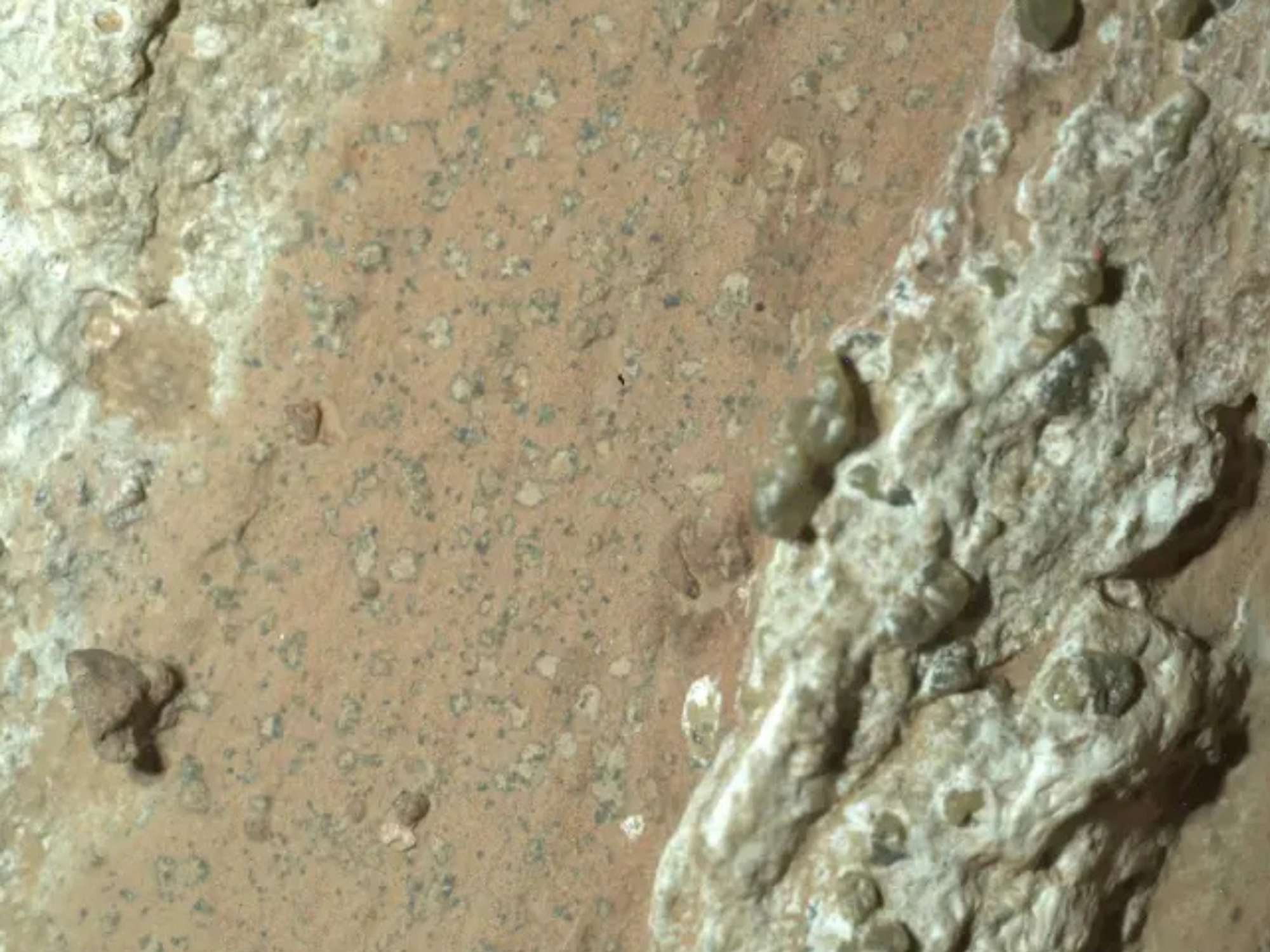 The spots in question