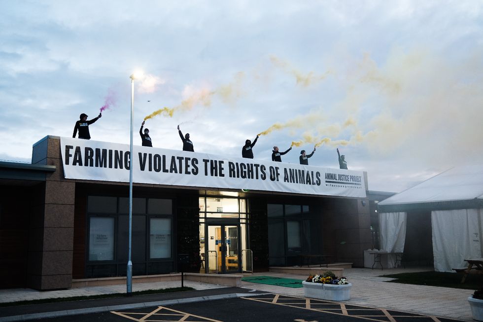 The stunt began in the early hours of Saturday.