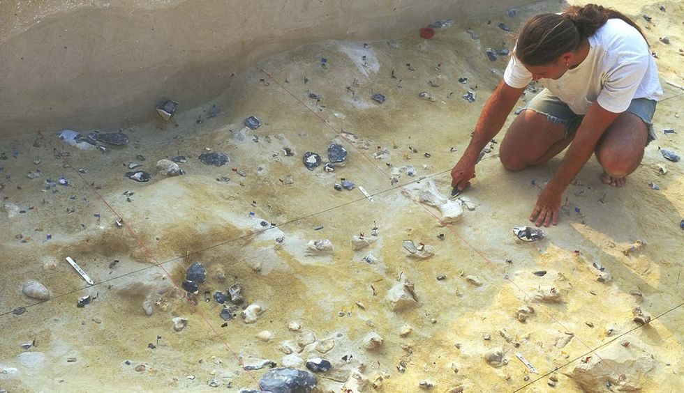 The tool was originally excavated at Boxgrove in the 1990s