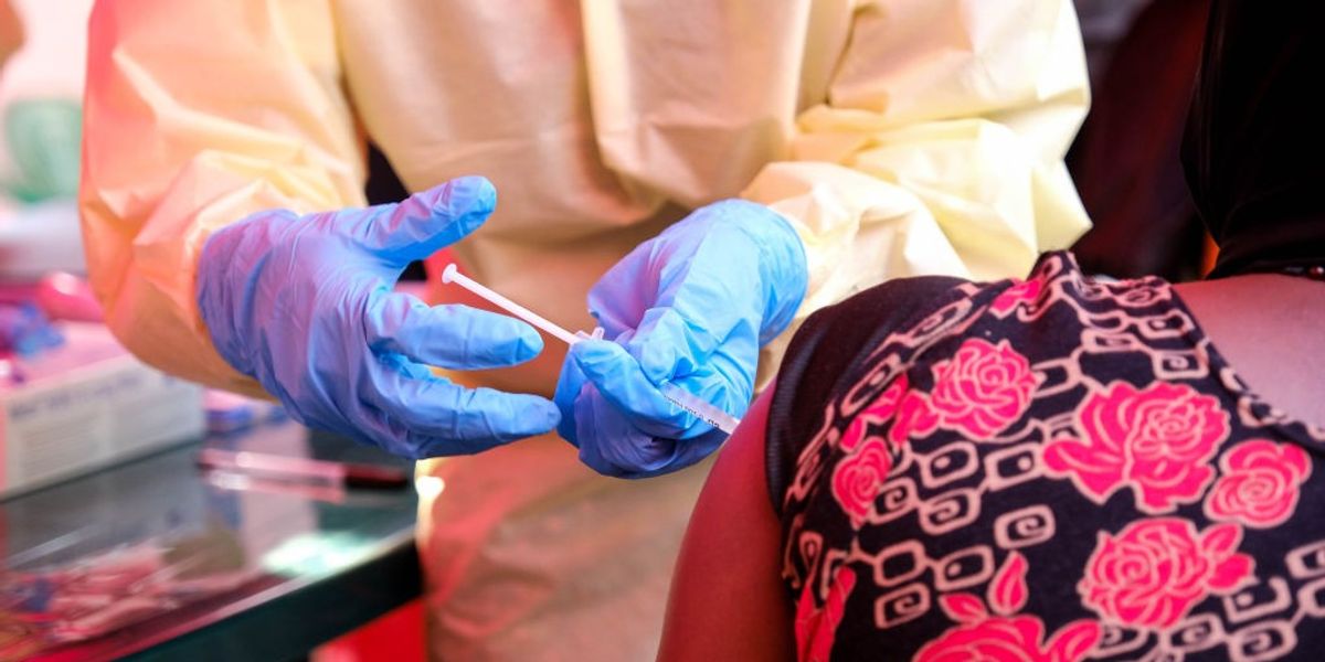 NextImg:Emergency vaccine trial launched to halt outbreak of deadly Ebola strain