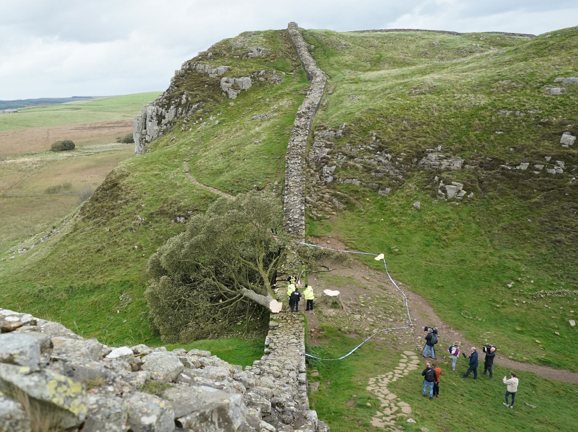 The tree at Sycamore Gap was felled