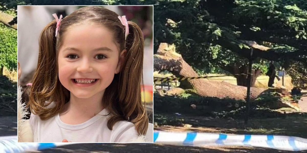 NextImg:Schoolgirl, 7, killed after tree collapsed has been named and pictured as family pay heartbreaking tribute