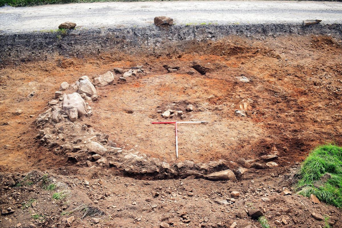The Twentyshilling site as it was first unearthed