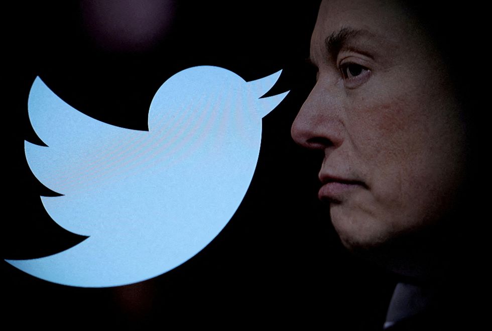The Twitter bird and Elon Musk