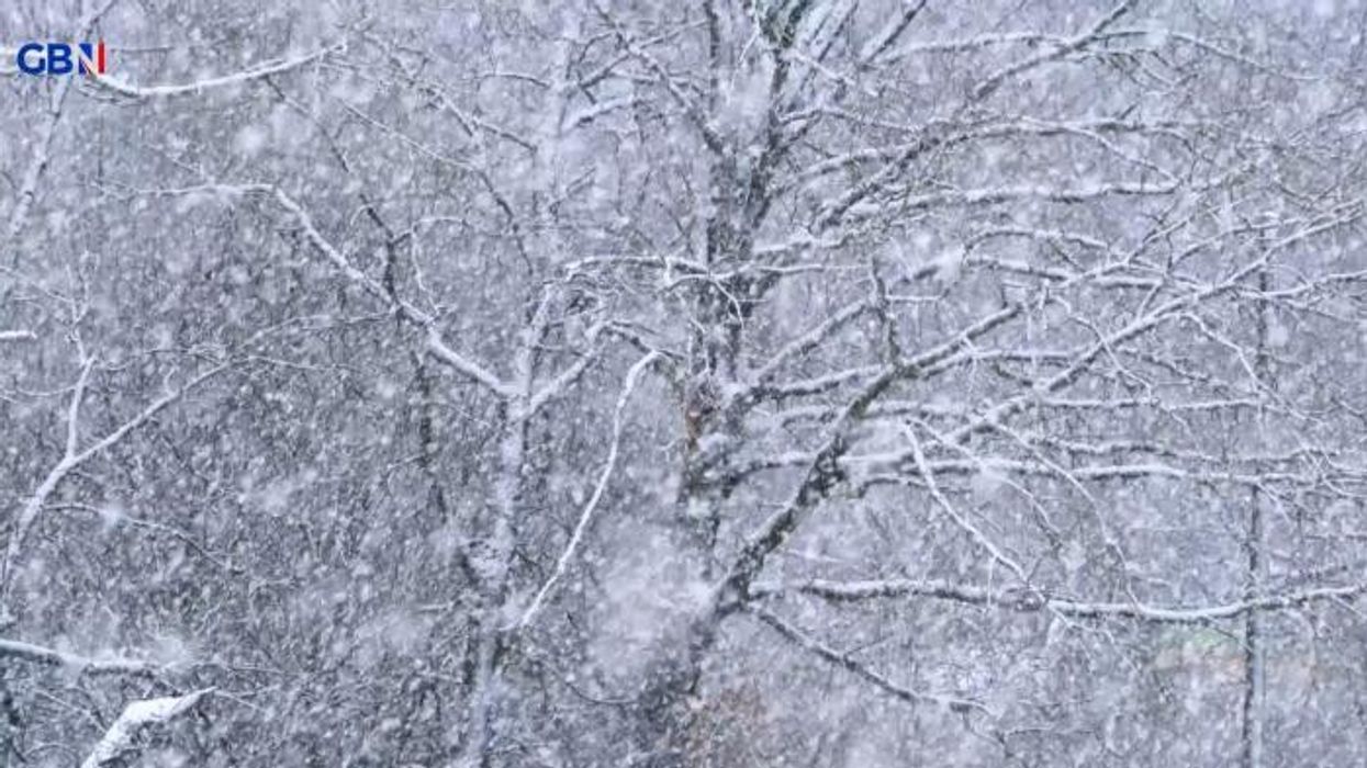 UK snow: Met Office warns Britain to be struck with 'substantial' snowfall amid -11C Arctic blast