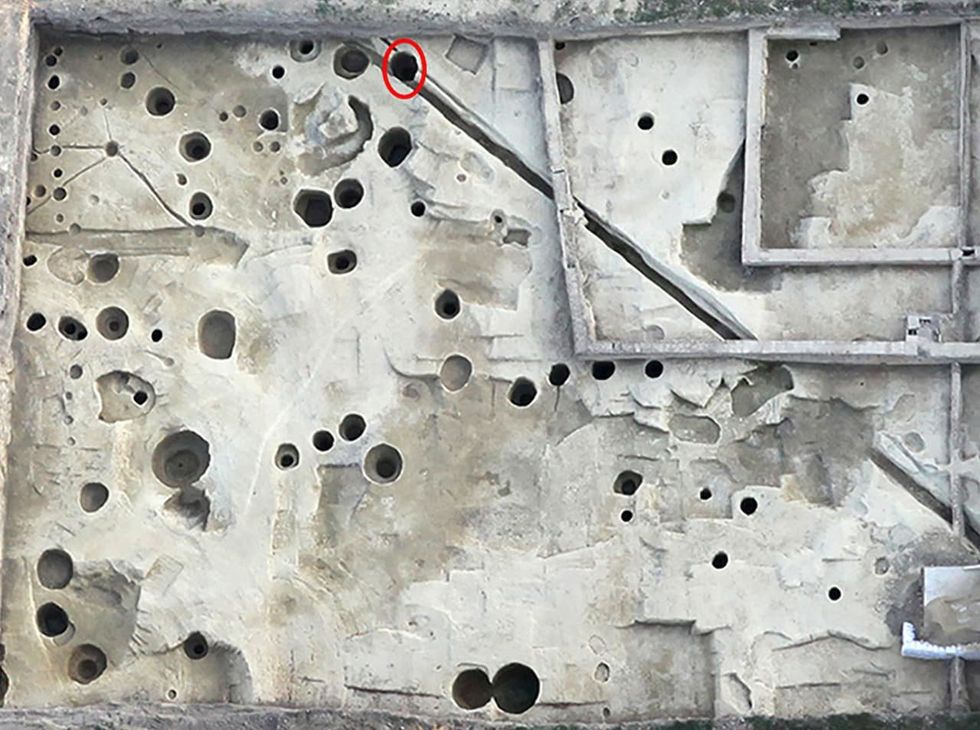 The violent nature of these wounds corresponds with historical accounts of the Battle of Mursa's ferocity
