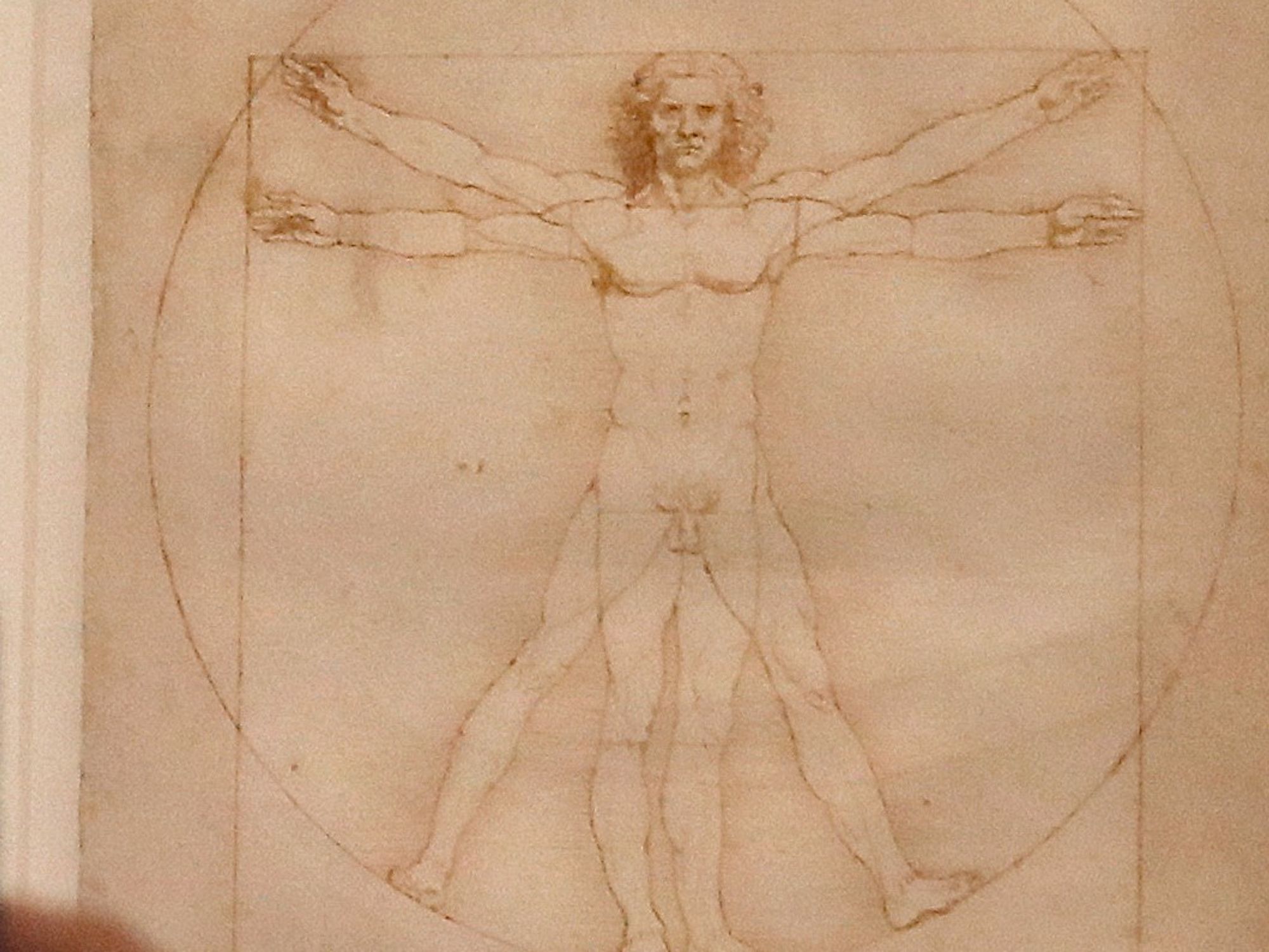 The 'Vitruvian Man'